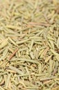 Dried Rosemary Close-up Royalty Free Stock Photo