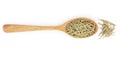 Dried rosemary or rosemarin leaves in wooden spoon isolated on white background top view Royalty Free Stock Photo