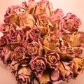 Dried roses