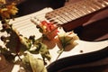 Dried roses on electric guitar closeup. Selective focus Royalty Free Stock Photo