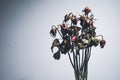 Dried roses on a gray background.represent of the heart broken, lost or disappoint.Sad on valentines day.shallow focus effect Royalty Free Stock Photo
