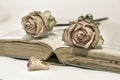 Dried roses with petals on book Royalty Free Stock Photo