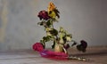 Dried roses in a small vase to remember all our great love Royalty Free Stock Photo