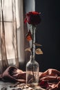 Dried roses in a vase. Relationship problems, disappointment, depression, loneliness. Royalty Free Stock Photo