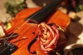 Dried roses, vintage violin and old sheet music closeup. Selective focus Royalty Free Stock Photo