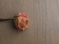 Dried Roses on Wood Background