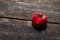 Dried, rotten apple on aged pine wood boards Royalty Free Stock Photo