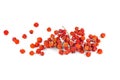 Dried rowan berries isolated on white Royalty Free Stock Photo