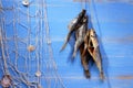 Dried rudd fish and fishing net on blue background Royalty Free Stock Photo