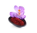 Dried saffron and crocus flower in bowl on white background Royalty Free Stock Photo