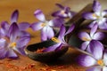 Dried saffron spice and crocus flowers Royalty Free Stock Photo