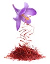 Dried saffron spice Royalty Free Stock Photo