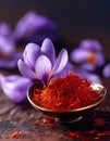 Saffron flowers. Royalty Free Stock Photo