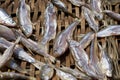 Dried Saled Fish Royalty Free Stock Photo