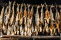 Dried salmons inside house of Shiraoi Ainu Village Museum in Hokkaido, Japan