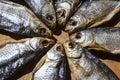 Dried salt fish wooden background