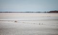 The dried salt lake Royalty Free Stock Photo