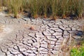 Dried Salt Marsh Royalty Free Stock Photo