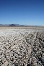 Dried salt mud flats Royalty Free Stock Photo