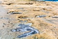 Dried salt on rocky Sliema beach, Malta