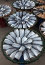 Dried salted damsel fish.