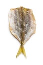 Dried salted fish. Royalty Free Stock Photo