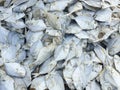 dried salted fish in indonesian market. dried fish in an Asian market Royalty Free Stock Photo