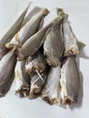 dried salted fish in market Royalty Free Stock Photo