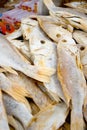 Dried Salted Fish Series 3