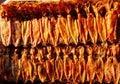 Dried salted squid Royalty Free Stock Photo