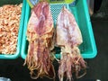 Dried Salted Squid and Shrimp Royalty Free Stock Photo