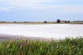 Dried saltlake Royalty Free Stock Photo