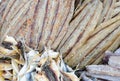 Dried salty fish on asian market