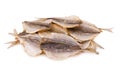 Dried salty yellowstripe scad fish Royalty Free Stock Photo