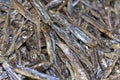 Dried sardines