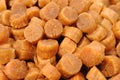 Dried scallop Royalty Free Stock Photo