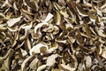 Dried scliced mushroom Royalty Free Stock Photo