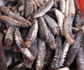 Dried sea cucumber Royalty Free Stock Photo