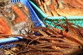 Dried Seafood on Sale in Tai O Fishing Village, Hong Kong Royalty Free Stock Photo