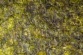 Dried seaweed sheet background. Closeup dry nori japanese food t