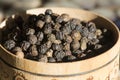 Dried seeds black pepper Piper nigrum in the wooden cup. Ingredient for spices. Culinary background texture. Top view