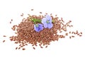Dried seeds of flax with flowers on white background Royalty Free Stock Photo