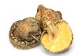 Dried shiitake