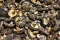 Dried shiitake mushroom Royalty Free Stock Photo