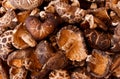 Dried shiitake mushroom Royalty Free Stock Photo