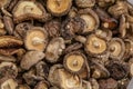 Dried Shiitake Mushroom background, top view Royalty Free Stock Photo