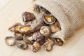 Dried shiitake mushroom Royalty Free Stock Photo