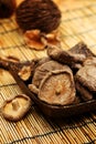 Dried Shiitake Mushroom Royalty Free Stock Photo