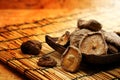 Dried Shiitake Mushroom on mat earth tone Royalty Free Stock Photo