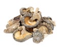 Dried Shiitake Mushrooms Royalty Free Stock Photo